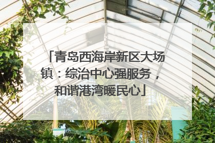青岛西海岸新区大场镇：综治中心强服务，和谐港湾暖民心